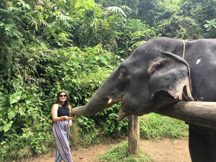 CHIANG MAI - ELEFANTES 1